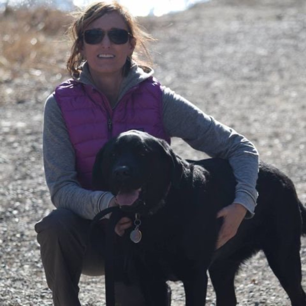 Meet your Posher, Wende